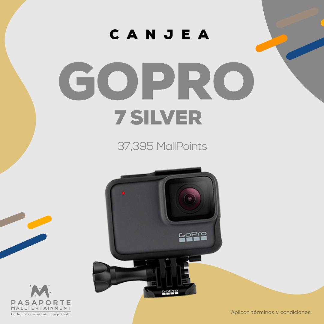 Camara GO Pro 7 Silver